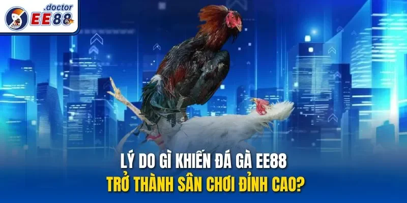 Lý do gì khiến Đá gà ee88 trở thành sân chơi đỉnh cao?