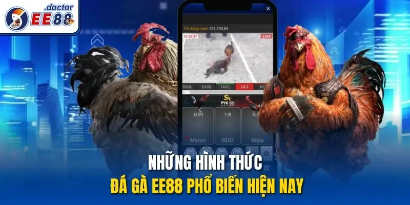 Những hình thức Đá gà ee88 phổ biến hiện nay